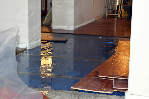 Professional Flood Damage Restoration technician working in Holden, ME